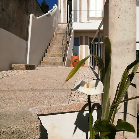 Casa Ventuzelo Apartment Porto